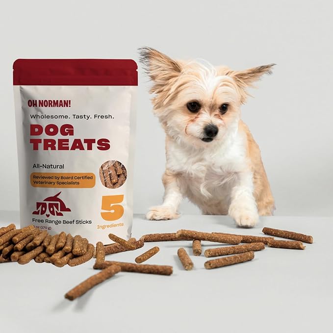 OH NORMAN! Soft Beef Jerky Dog Treats by Kaley Cuoco, Healthy Dog Treats, All Life Stages and Breeds, Air Dried, Ethically Sourced Free Range Beef,6 Oz
