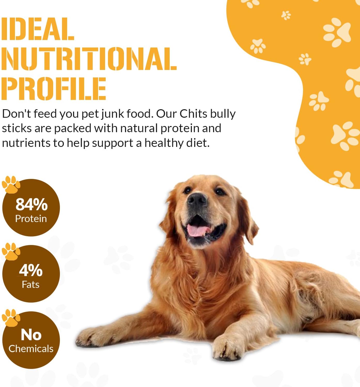 Dog Chits Bully Sticks for Dogs and Puppies | 6-inch, 12 Pack | Natural Healthy Long Lasting Chew for Large and Small Dogs Protein Treats | Odor Free
