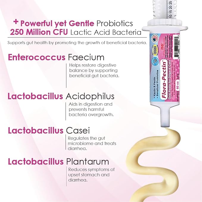 Oral Paste for Dogs & Cats-Helps Reduce Occasional Loose Stool & Diarrhea, Balance Gut pH, Support Normal Digestion & Intestinal Flora-Fast Acting (60 CC - Tasty Chicken Flavor)