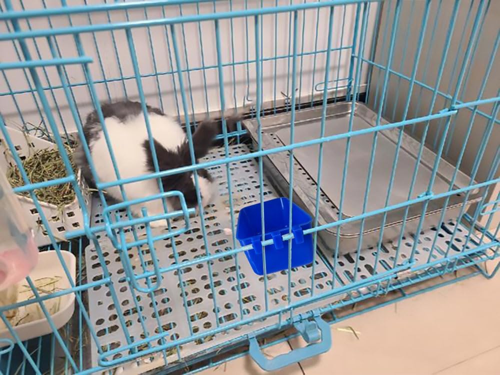 Pack of 10 Cage Cups Birds Feeders Seed Bowl Chicken Feeding Watering Dish Rabbit Water Food Hanging Wire Cages Box 16 oz Coop Cups for Pet Parrot Parakeet Game Fowl Poultry Pigeon