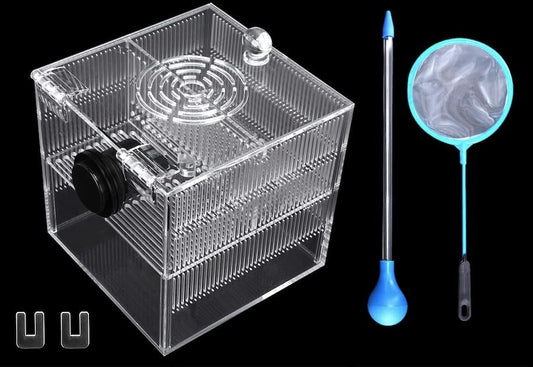 Magnetic Fish Breeder Box for Isolation Boxes (4.71 Inch with 2 Divider（Sealed Bottom Version）)