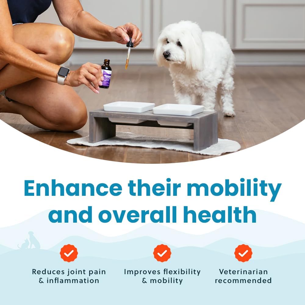 Paramount Pet Health Joint & Heart Wellness Bundle for Small Dogs: Liquid Glucosamine + Wild Alaskan Salmon Oil