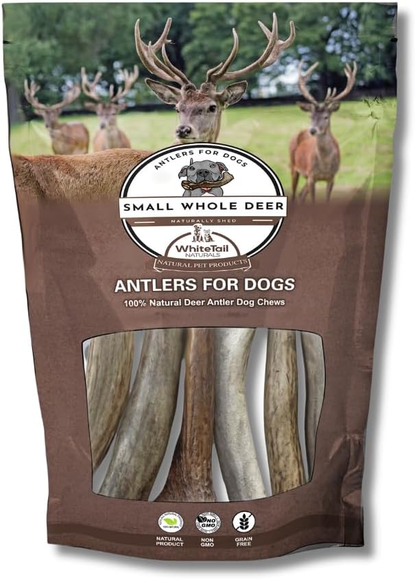 WhiteTail Naturals - Antlers for Small Dogs (3 Pack) Deer Antler Dog Chew Bones for Small Aggressive Chewers - Long Lasting Horn Chew Toys - Naturally Shed