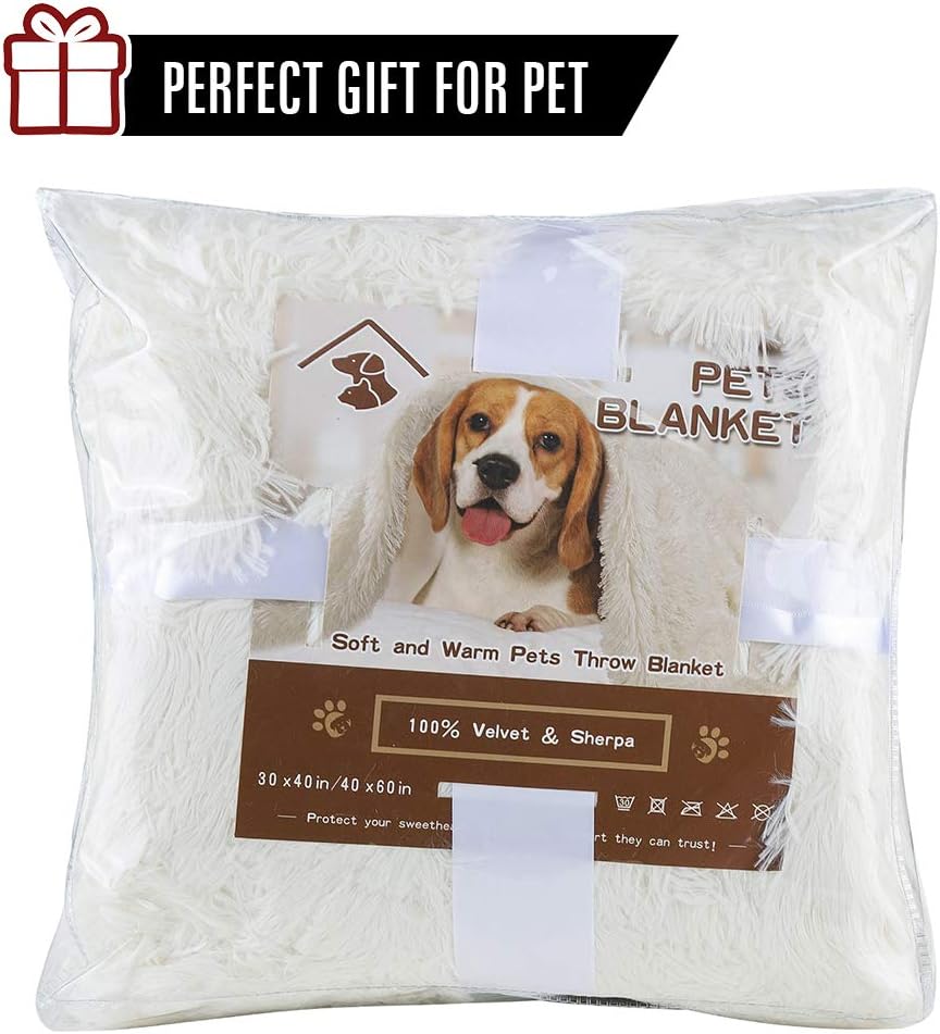 LOCHAS Luxury Fluffy Dog Blanket, Extra Soft and Warm Sherpa Fleece Pet Blankets for Dogs Cats, Plush Furry Faux Fur Puppy Throw Cover, 30''x40'' Cream White
