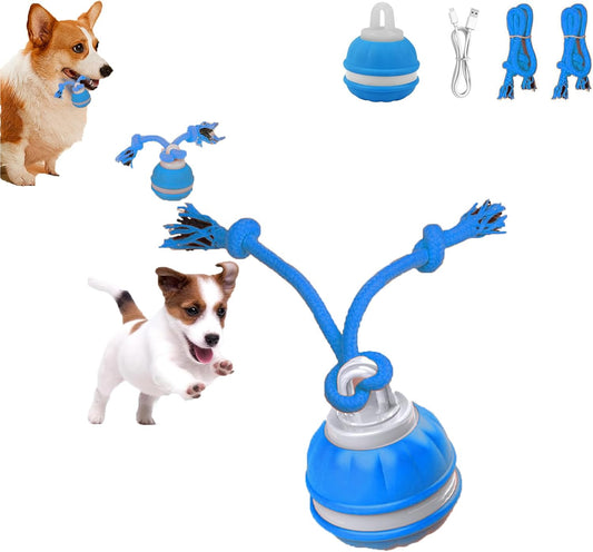 Interactive Dog Toys for Small Dogs,Moving Puppy Toys,Puppy Toys,Active Rolling Dog Ball,Dog Toys to Keep Them Busy for Daily Training