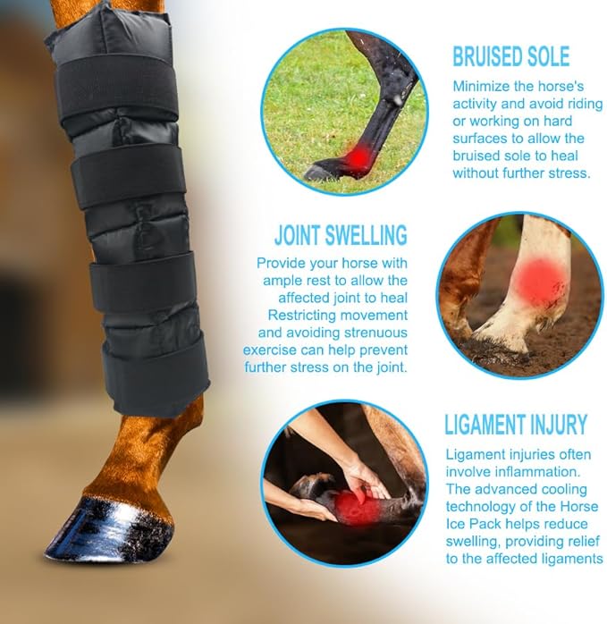 WORLD-BIO Horse Ice Boots (2pcs)/Horse Ice Pack for Injuries/Swelling, Horse Leg Ice Wraps with Flexible Straps for Horse Hock, Ankle, Knee, Legs&Horse Hooves,& Horse Gift Ideas for Horse Lovers-Black