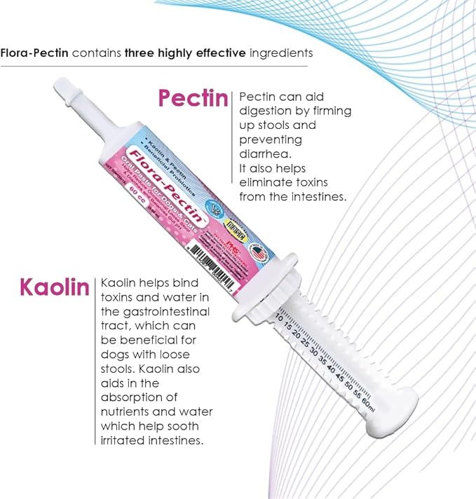 Oral Paste for Dogs & Cats-Helps Reduce Occasional Loose Stool & Diarrhea, Balance Gut pH, Support Normal Digestion & Intestinal Flora-Fast Acting (15 CC - Tasty Chicken Flavor)