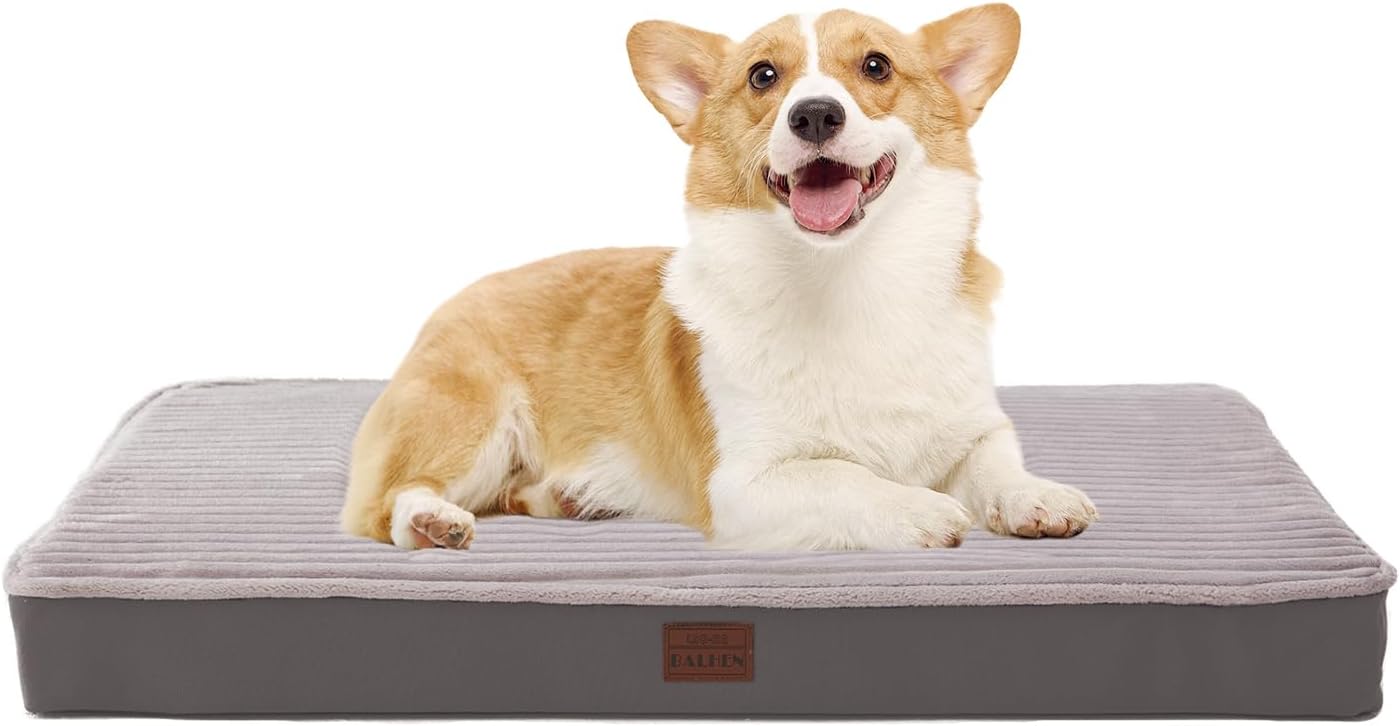 Orthopedic Dog Beds for Medium, Small Dogs - Plush Washable with Egg Crate Foam, Waterproof with Removable Cover & Anti-Slip Bottom, Comfy Striped Dog Bed for Crate, 31x25 Inch, Gray