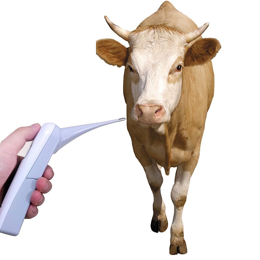 Animal Electronic Ehermometer Pet Thermometer Digital Thermometer is a Fast Rectal Thermometer for Dogs,Horse, Cats, Pigs,Sheep