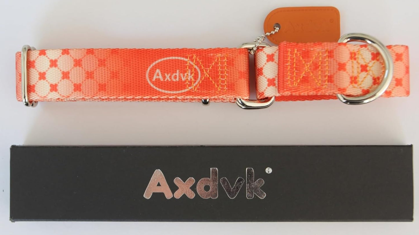 Martingale Dog Collar Colorful Gradient Fashionable - Anti-Escape Soft Durable Pets Collar for Walking Training Outdoor Daily Use -Small,Aurora Fire