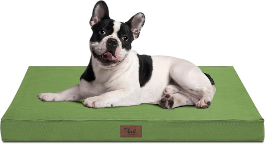Outdoor Dog Bed for Medium Dogs, Waterproof Dog Bed for Medium Dogs Cats, Orthopedic Egg Crate Foam Pet Bed with Washable and Removable Oxford Cover, Light Green