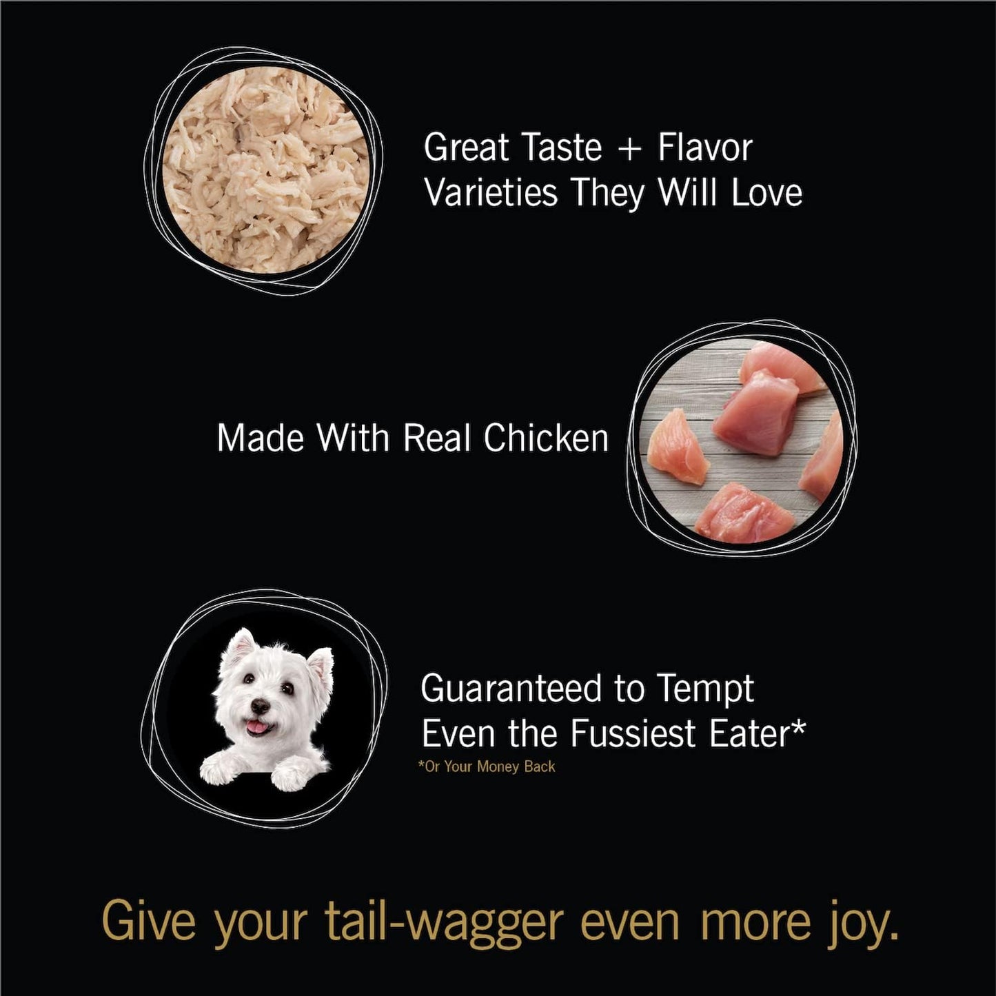 Cesar Simply Crafted Adult Wet Dog Food Meal Topper, Chicken, 1.3 oz. Tubs (24 Count, Pack of 1)