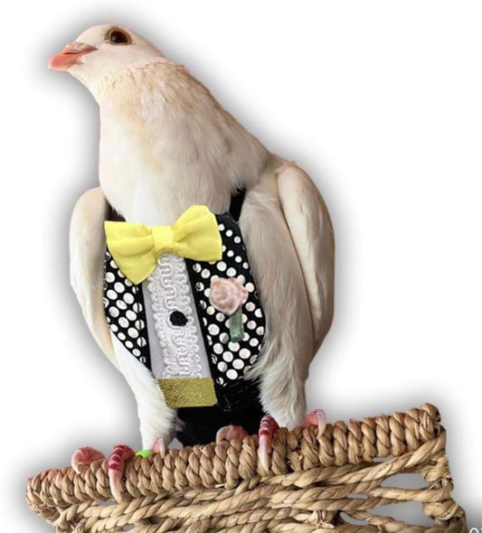 Bev's Birds Boutique Regular Flyper - Bird Diaper (14, Retro Tux)