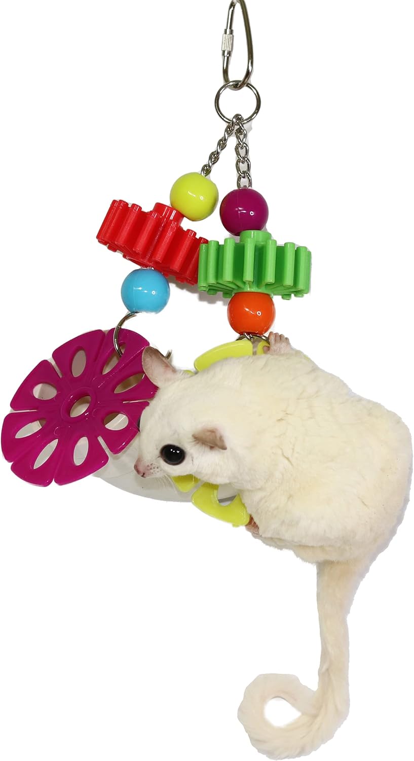 PVC Forager - Durable Fun Treat Foraging Cage Accessory Toy - for Sugar Gliders, Squirrels, Chinchillas, Prairie Dogs, Degus, Skunks, Marmosets, Monkeys, Parrots, Birds, Rats, Hamsters & Gerbils