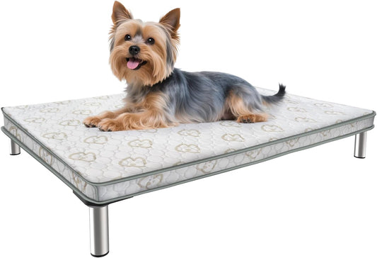 FXW TitanNest Chew-Proof Elevated Dog Bed, Raised Cot for Indoor/Outdoor/Camping Use, Durable & Washable Padded Pet Bed with Exclusive Cover for Toy Dogs, 24.0" L x 20.0" W x 4.1" H, Gray