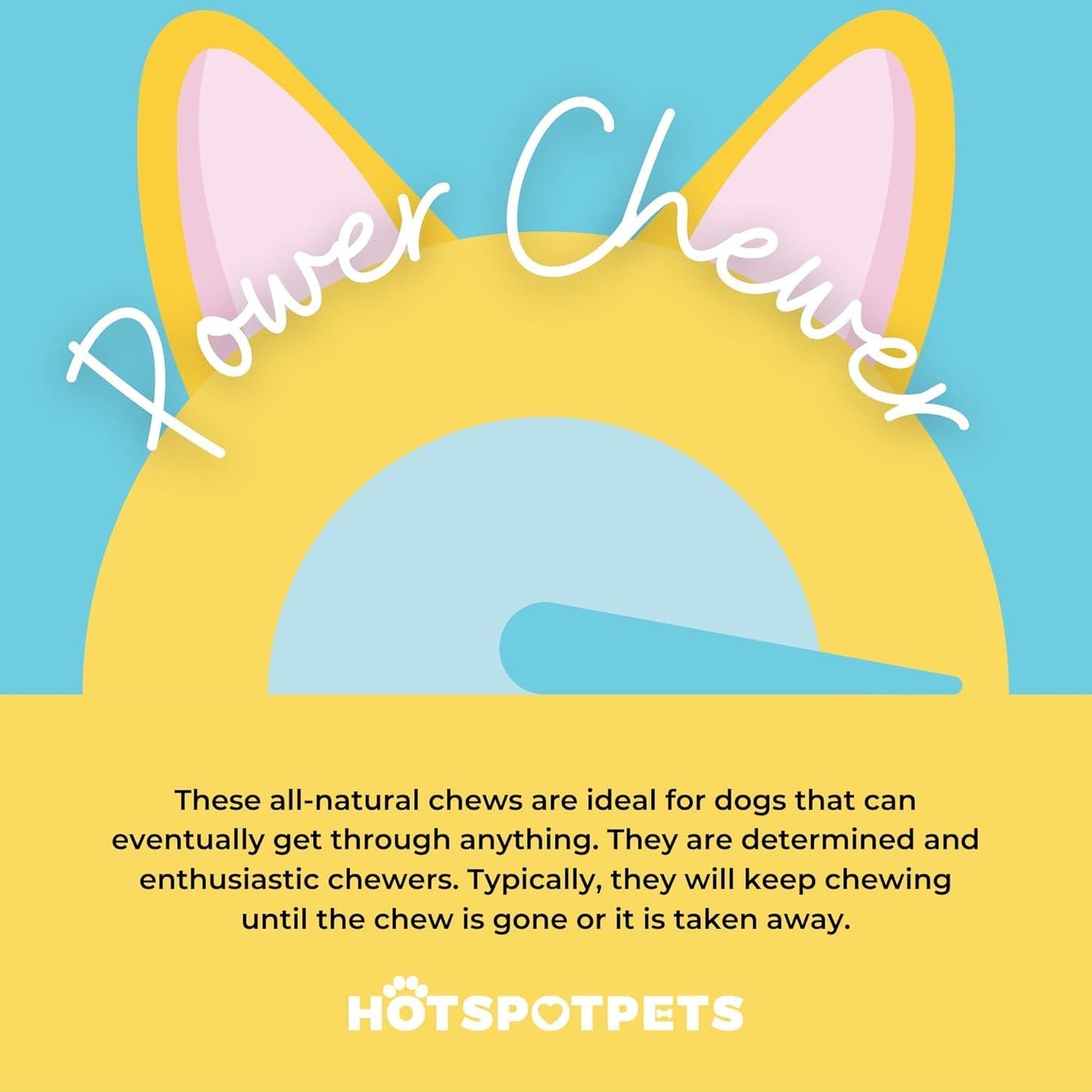 Himalayan Yak Chews for Dogs – (3 Pack Large) Long-Lasting Natural Dog Chew, Healthy & Safe Yak Cheese Treats for Aggressive Chewers, Small, Medium & Large Dogs - 100% No Rawhide, High Protein