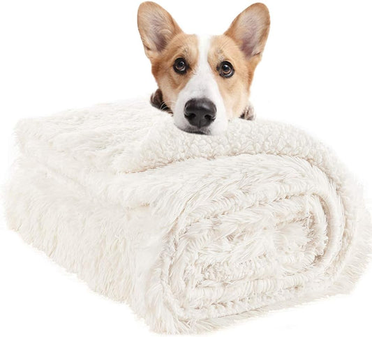 LOCHAS Luxury Fluffy Dog Blanket, Extra Soft and Warm Sherpa Fleece Pet Blankets for Dogs Cats, Plush Furry Faux Fur Puppy Throw Cover, 30''x40'' Cream White