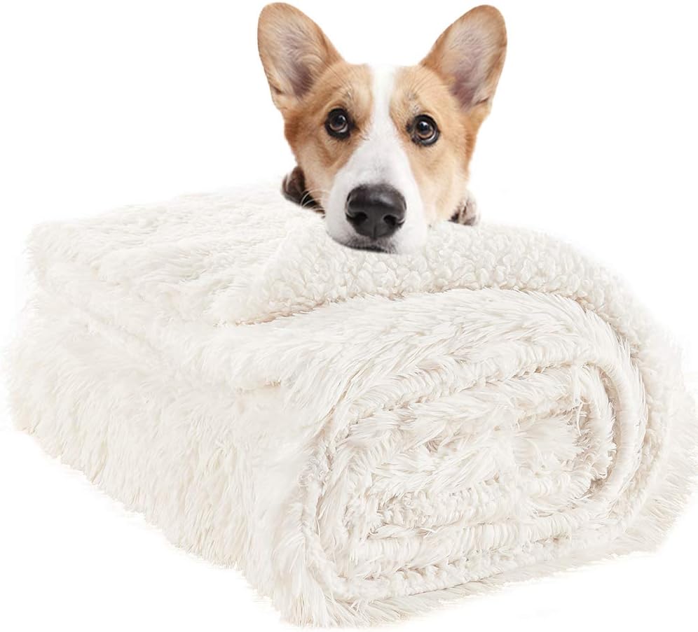 LOCHAS Luxury Fluffy Dog Blanket, Extra Soft and Warm Sherpa Fleece Pet Blankets for Dogs Cats, Plush Furry Faux Fur Puppy Throw Cover, 20''x30'' Cream White