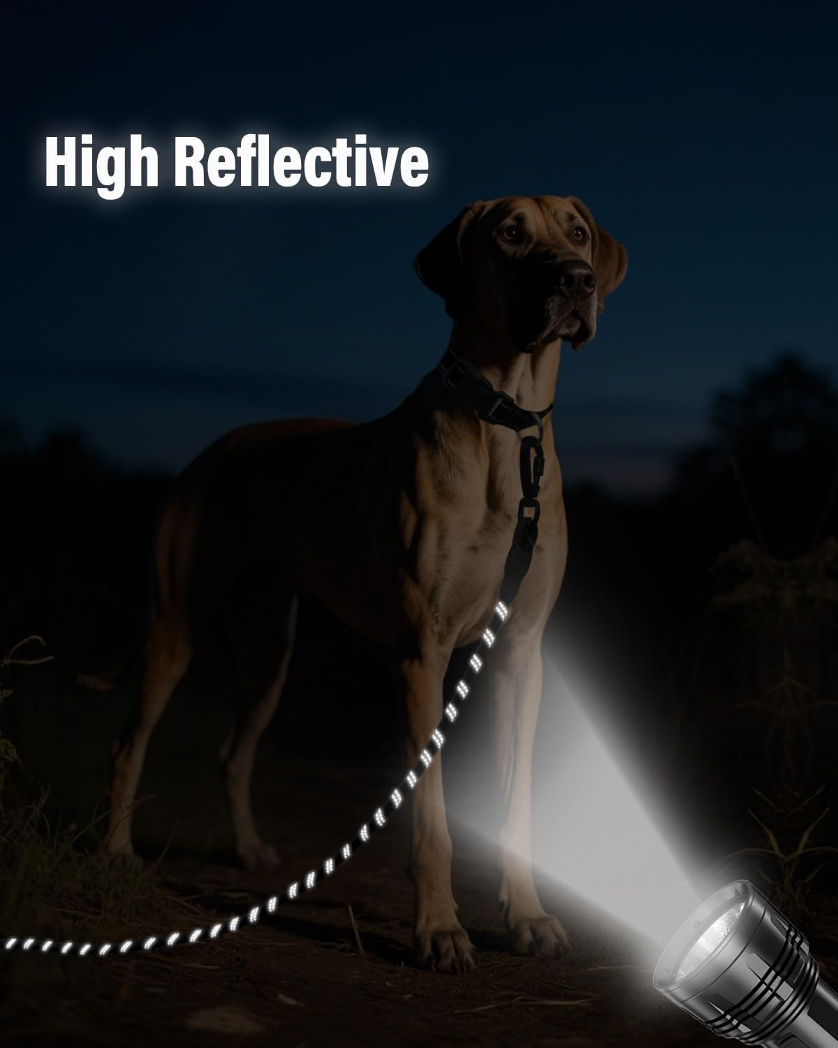 Joytale Long Leash for Dog with Removable Padded Handle, Heavy Duty Lead for Large Medium Dogs,15FT/30FT/50FT/65FT Reflective Training Leash for Play, Camping, Backyard Tie Out, Black, 65FT