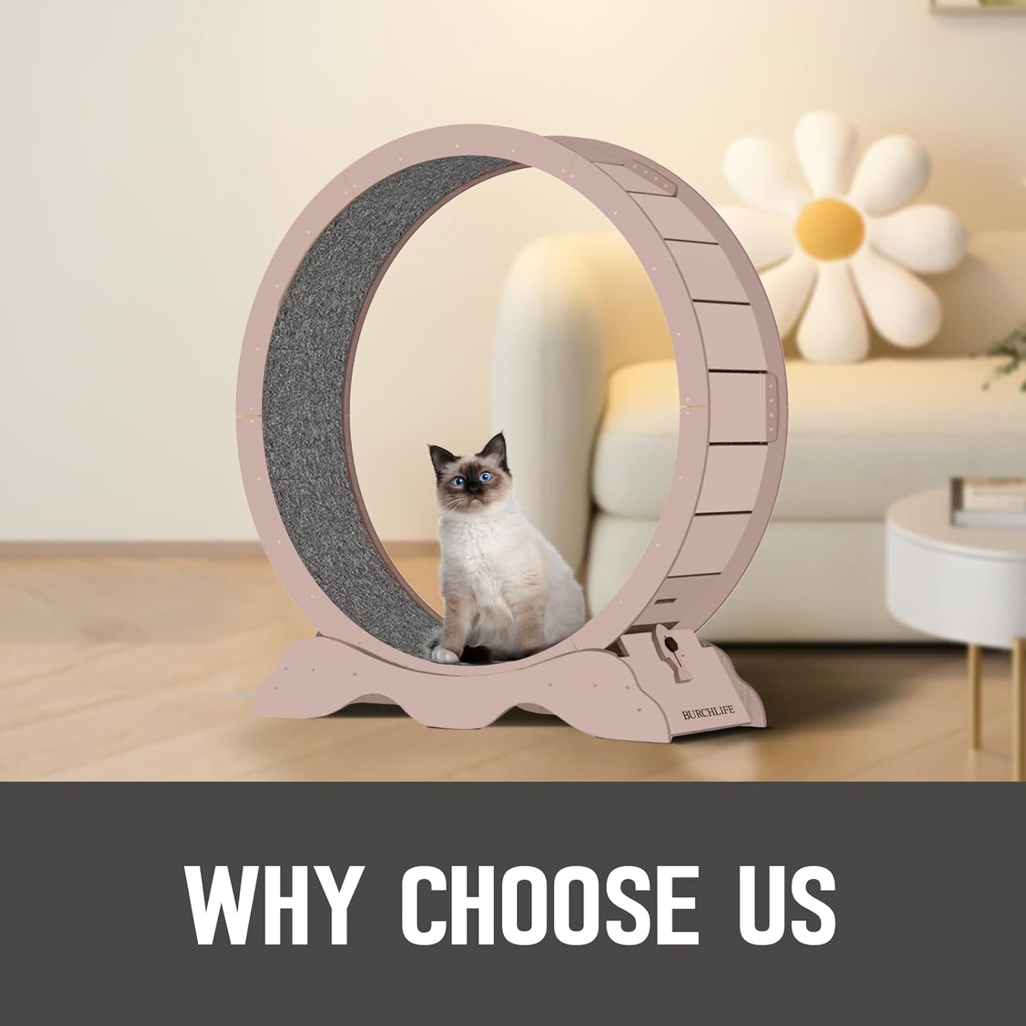 Cat Exercise Wheel 45 Inch Cat Treadmill for Indoor Cats, Running Wheel with Detachable Carpeted Runway, Cats Running Wheel Carpet Suitable for Most Pets Weight Loss and Health (Pink, XL)