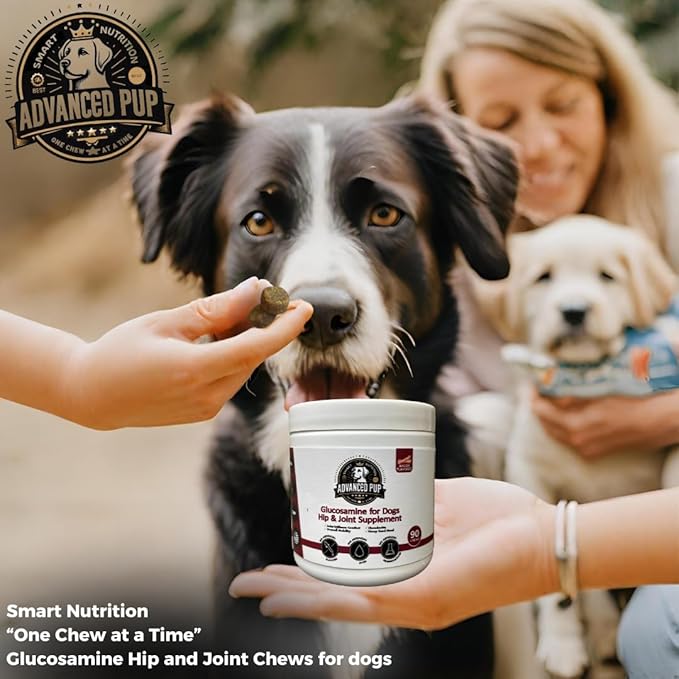 AdvancedPUP Hip and Joint Supplement - Effective Chondroitin MSM & Turmeric for Dogs - Dog Hip & Joint Care to Heal Dog Joint Stiffness & inflammation - Natural Glucosamine Supplement Tasty Bacon 90CT