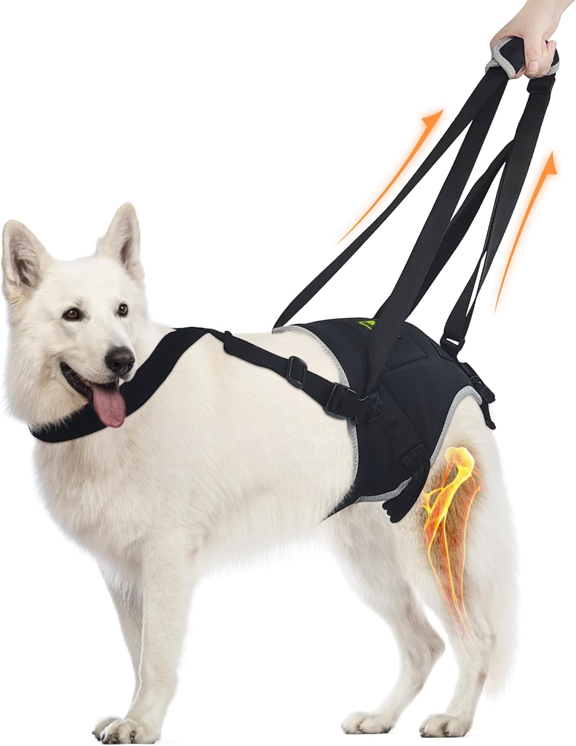 Dog Sling for Large Dogs Hind Leg Support, Dog Lift Harness for Large Dogs Provide Support with Muscle Atrophy and Joint Problems, Dog Lift Harness Helps Assist Walking and Overcoming Obstacles- L