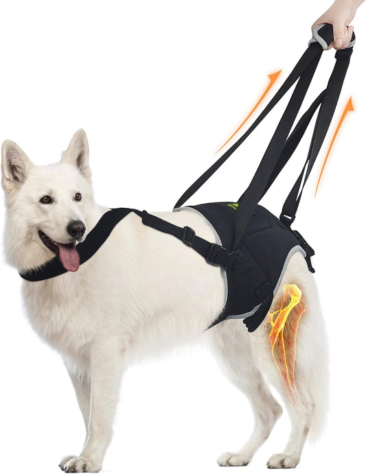 Dog Sling for Large Dogs Hind Leg Support, Dog Lift Harness for Large Dogs Provide Support with Muscle Atrophy and Joint Problems, Dog Lift Harness Helps Assist Walking and Overcoming Obstacles- L