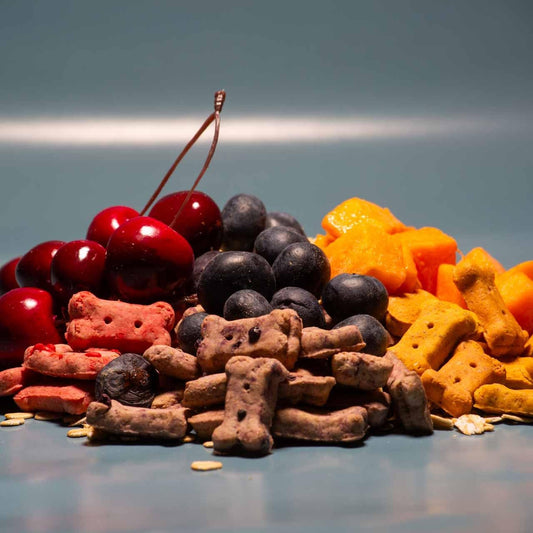 Activa Gourmet Dog Biscuits (Mini, 3 Flavor Mix)