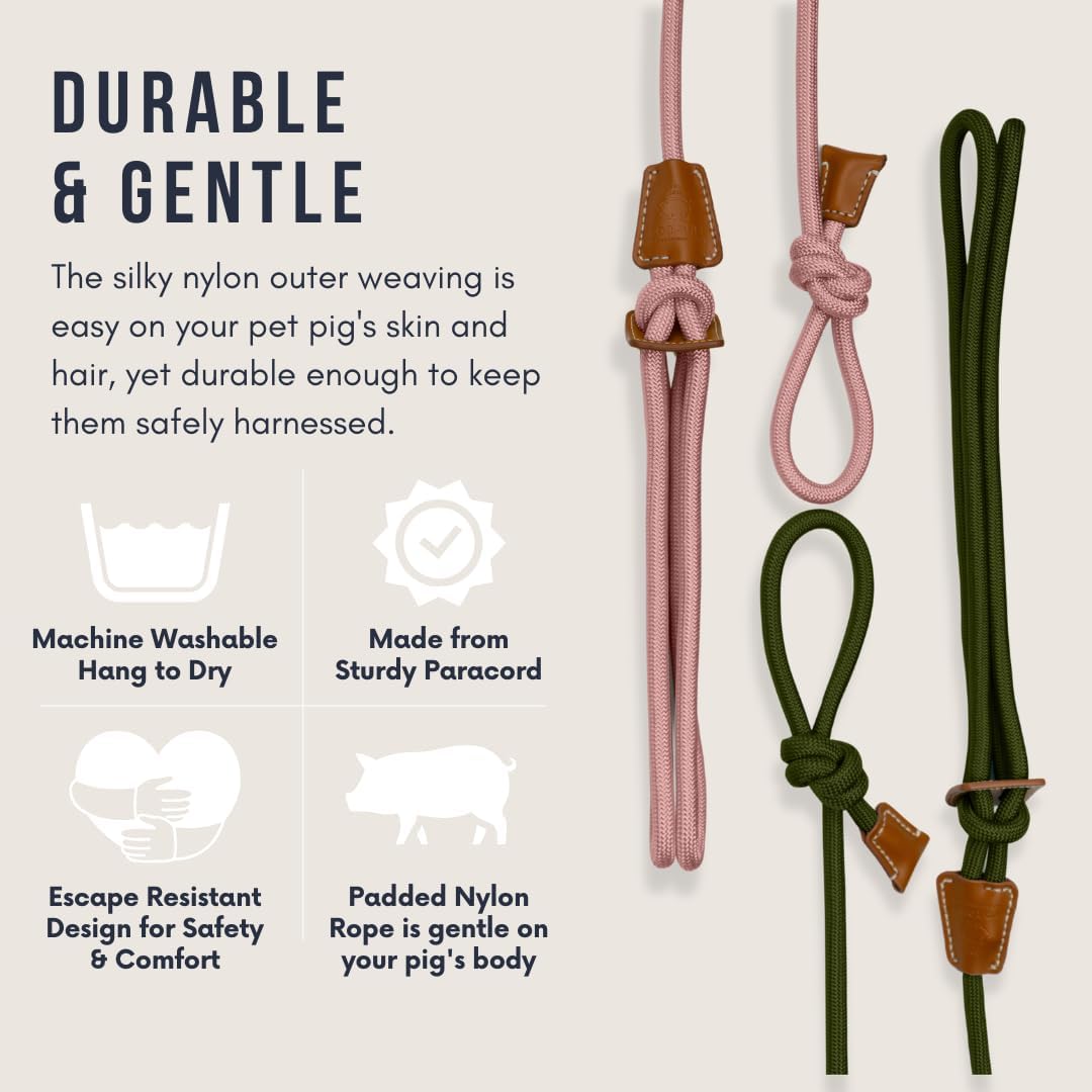 Mini Pig Harness & Leash (S/M) - Fully Adjustable, Infinity Style Lead, Step-in Harness, Potbelly Supplies, All-in-One - Ideal for Small & Medium Pet Pigs (Small, Olive Green)