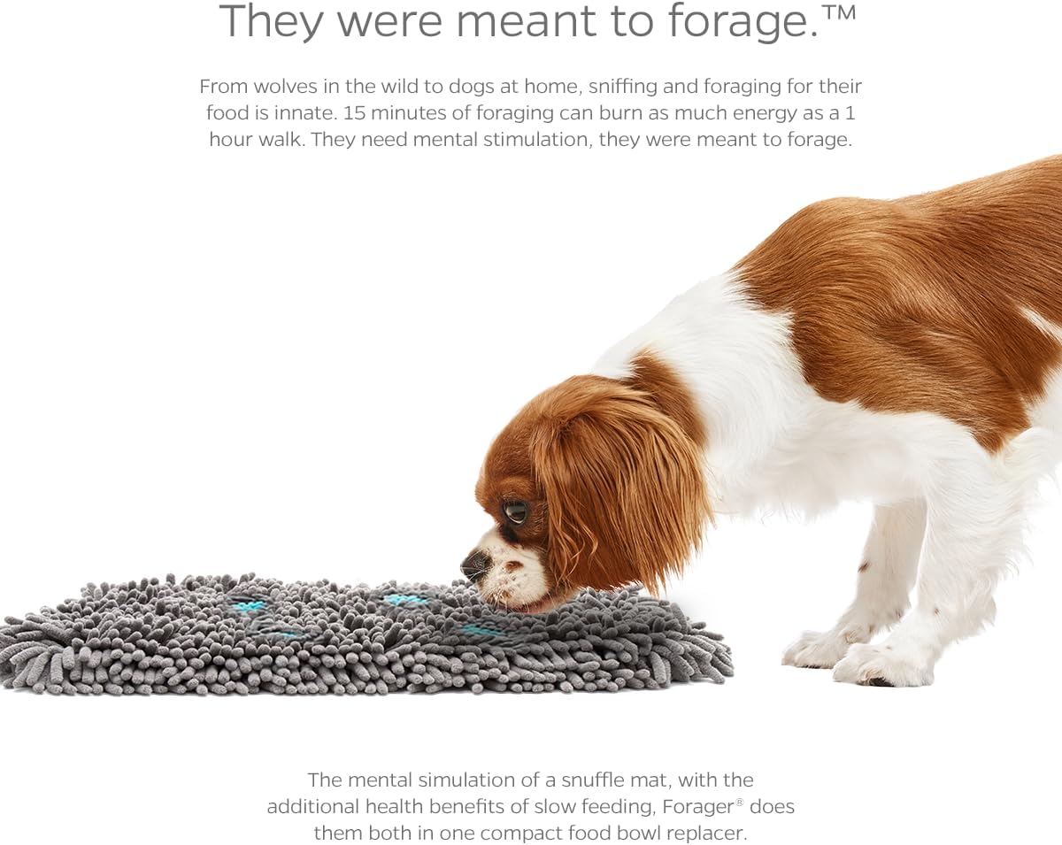 Pet Parents Forager Snuffle Mat with SoftSnout & Non-Slip Backing, Slow Feeder for Large & Small Dogs (Meadow 12")