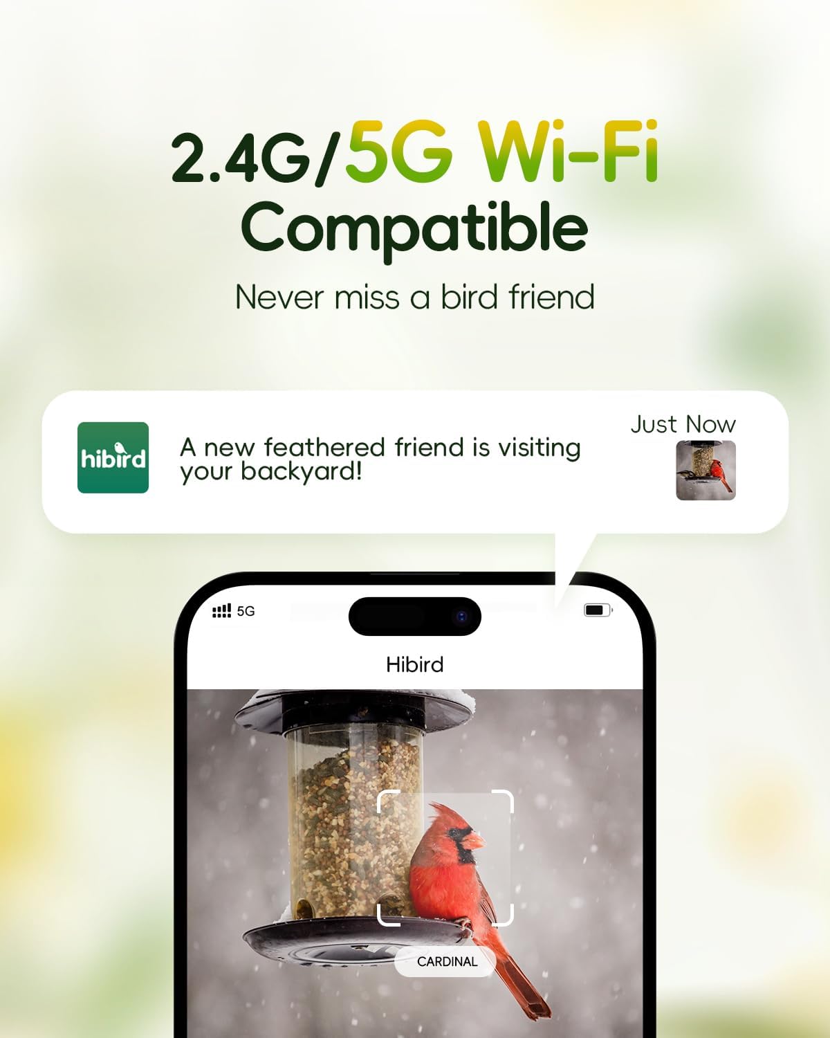 Hibird 4K HD Smart Bird Feeder Camera Solar Powered, 2.4G/5G Dual WiFi Wireless Outdoor, 6X Slow Motion Auto Bird Video Capture, Instant Notifications, AI Identify 10000+ Species for Everyone