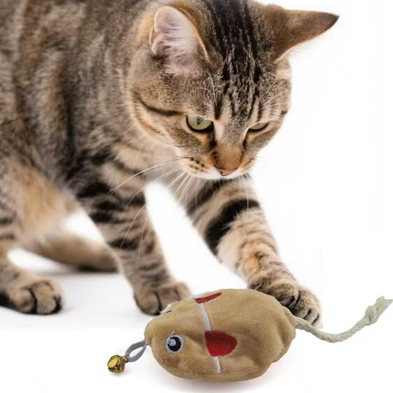 Interactive Cat Toy Wand with Catnip Mouse, Cat Teaser Wand Rainbow String for Bored Indoor Adult Cats and Kittens (2 Pack Mouse)