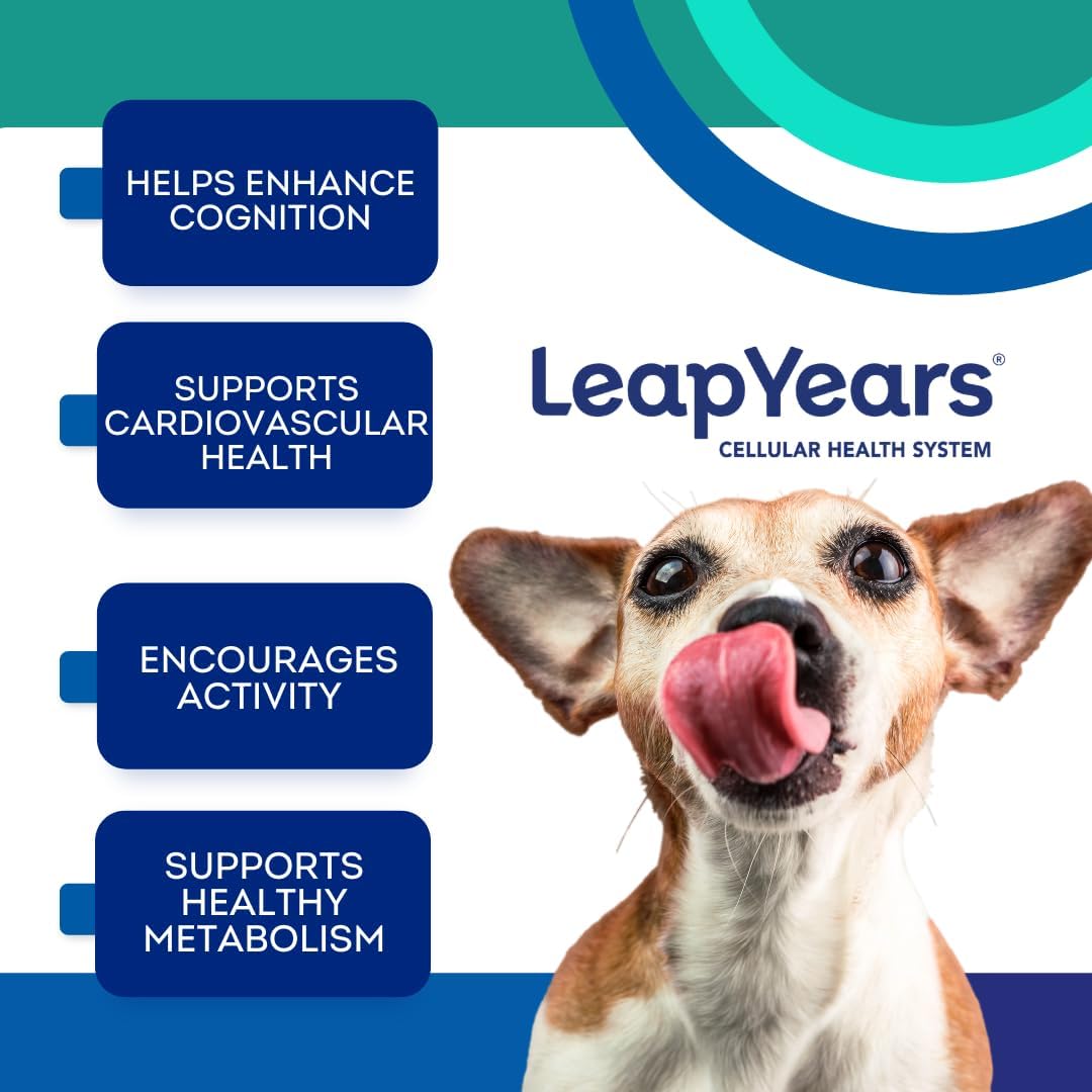 Leap Years Soft Chew Dog Health Supplement – Dog Cognitive Supplement, Supports Longevity of Your Pet, Brain, Heart & Muscle; Powerful NAD for Dogs + Senolytic Formula, Patent-Pending, Vet-Formulated