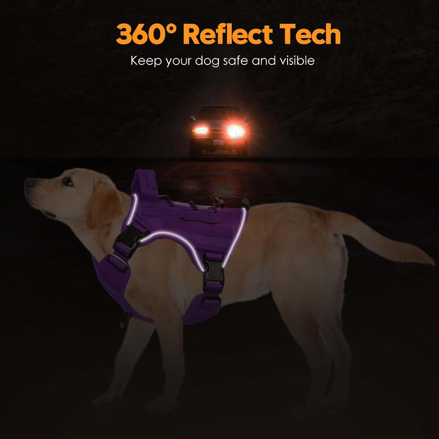 Heavy-Duty Tactical Dog Harness for Large Dogs, No Pull Adjustable Reflective Pet Vest with Molle System, K9 Military-Grade Control for Service Training, Outdoor & 10+ Breeds, Purple, Medium