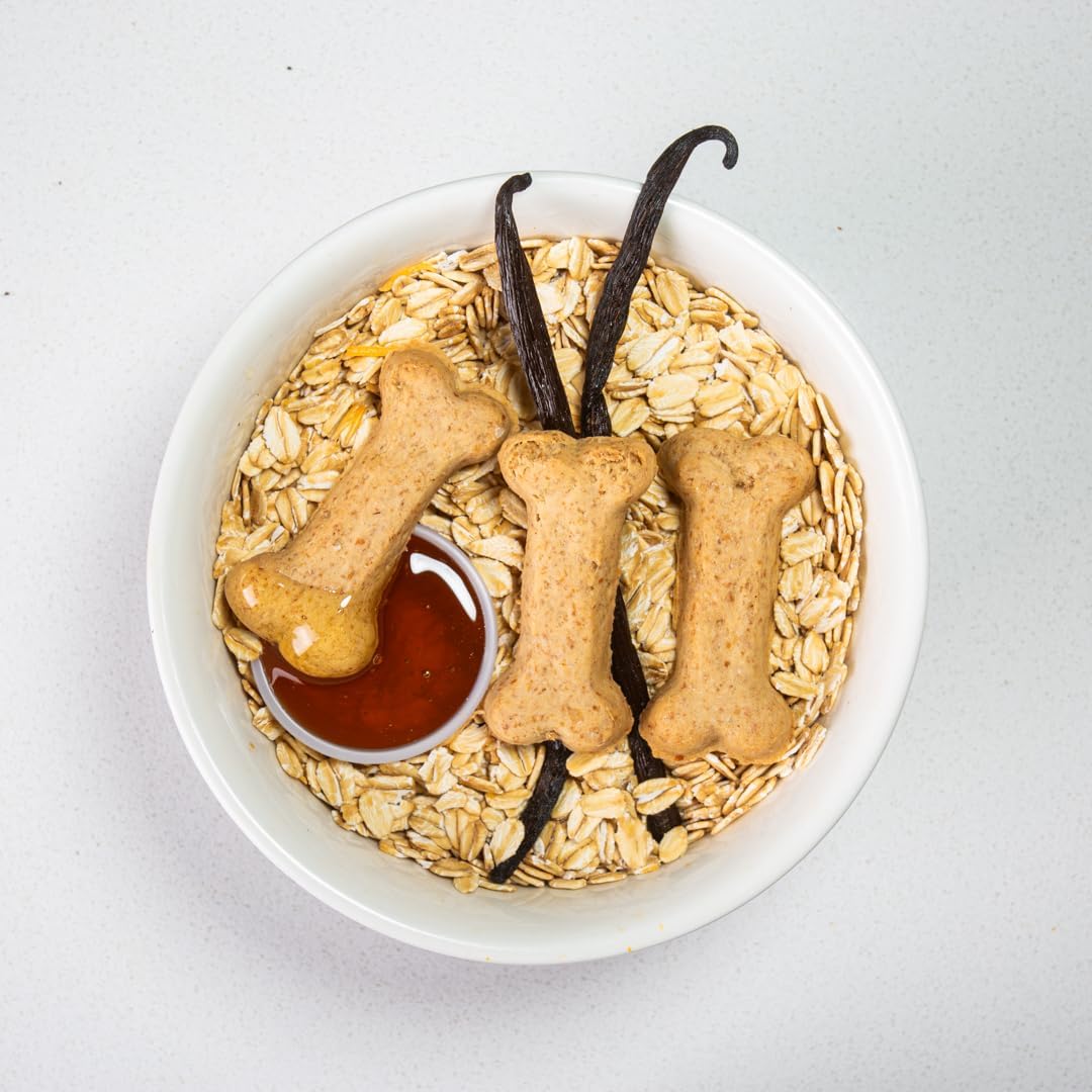 Activa 2lb Honey Bear Gourmet Dog Biscuits | Crunchy Dog Treats | (Medium, Honey)