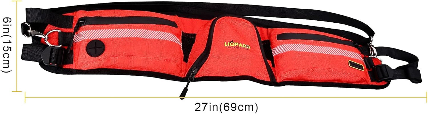 LIOPARD Dog Large Treat Bags Training Pouch Hands Free Waist Belt Puppy Small Waterproof Fanny Pack Pet Accessories Waste Bags with Dispenser for Travel Running Walking Hiking Agility (Orange)