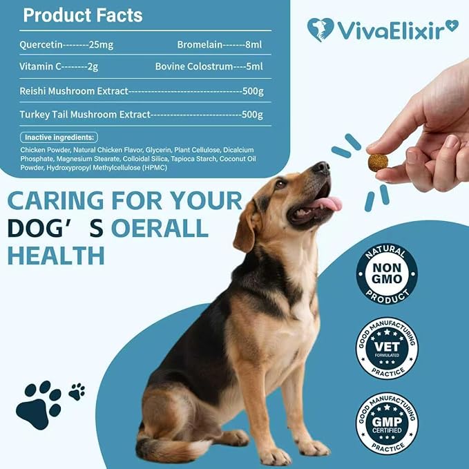 Dog Allergy & Itch Relief Chews – Quercetin, Bromelain, Colostrum & Mushroom Extracts – Skin & Ear Soothing Support for Yeast Infection, Hot Spots & Seasonal Allergies - 120 Treats