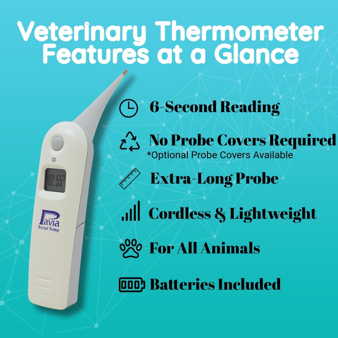 Pavia Rectal Temp Veterinary Thermometer | Accurate Temps in Only 6 Seconds | Cordless | Ideal for Dogs Cats Horses Pets | No Expensive Probe Covers | Trusted by Vets and Breeders