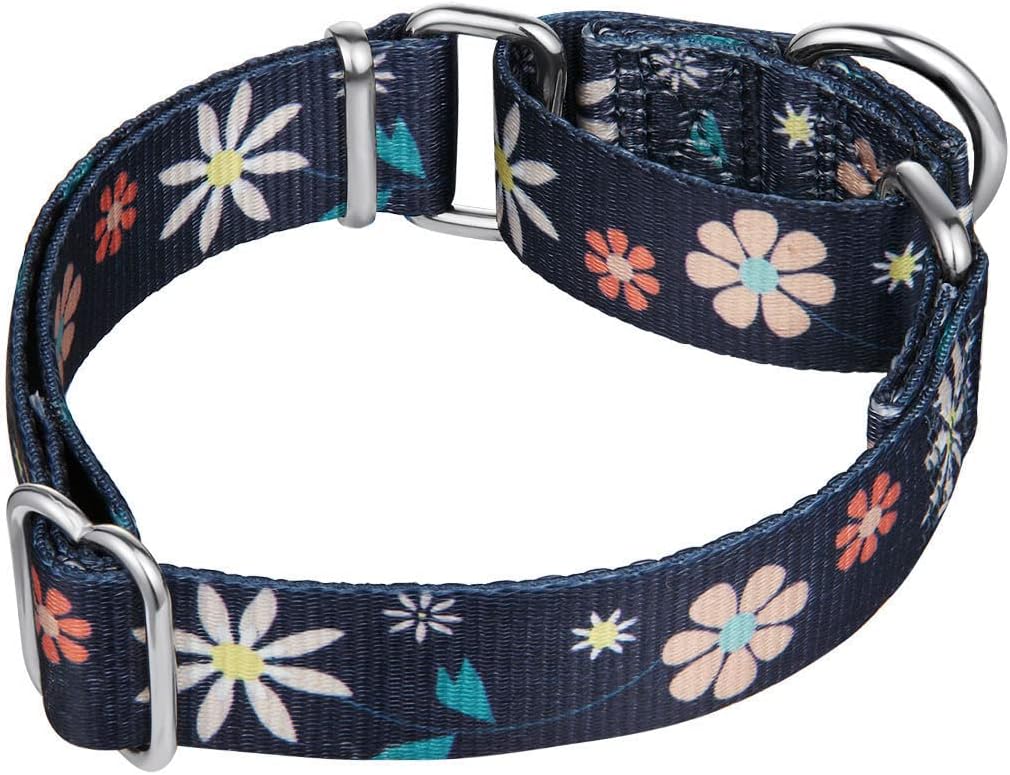 Martingale Collar Floral Print Dog Collar - No Pull Pet Collar, Heavy Duty Adjustable Dog Collar, Large, Neck 17 Inch -25 Inch, Elegant Flowers (Dark Blue)