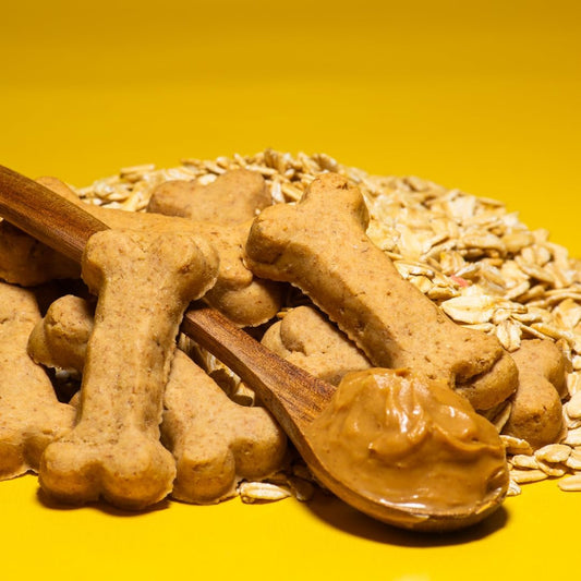 Activa 2lb Peanut Butter Gourmet Dog Biscuits | Crunchy Dog Treats | (Medium, Peanut Butter)