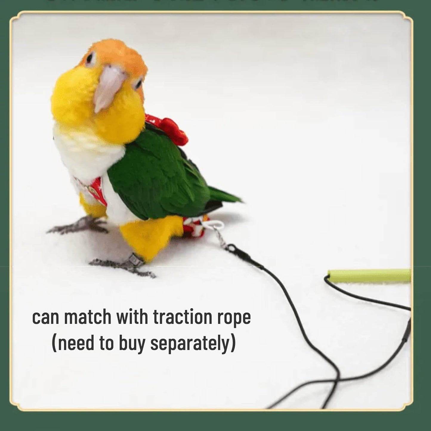 Bird Flight Suits Diapers, Parrot Flight Suits Diapers for Monk Parakeets, Cockatiels Flight Suits, Parrot Clothes, Bird Training Nappy Suit Liners Clothes (Small,Red-C)