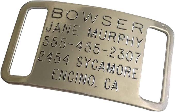 Boomerang Tags Slide on Dog ID Tags Engraved for Pets - Collar Tag, Personalized, Silent, Custom Slide-on Stainless Steel Dog Name Tag (Closed End Large for 1 Inch Wide Nylon Collars with Belt Buckle)