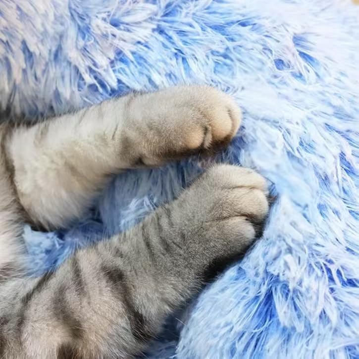 Cat Beds for Indoor Cats - Cat Bed Washable 24 inches, Dog Beds for Small Medium Dogs, Anti Anxiety Round Fluffy Plush Faux Fur Cat Bed, Thick Bottom (Cornflower Blue, Large 24" L x 24" W)