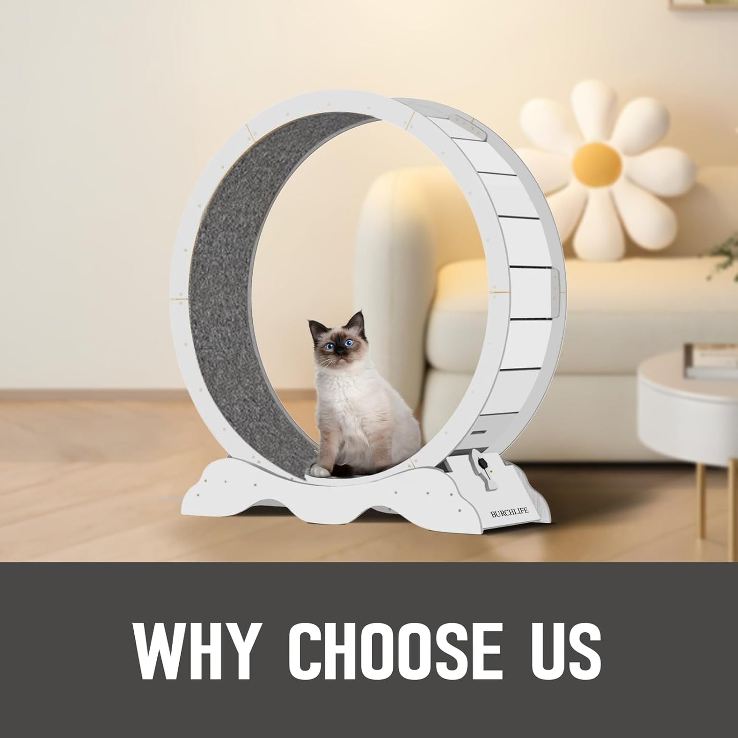 Cat Exercise Wheel 45 Inch Cat Treadmill for Indoor Cats, Running Wheel with Detachable Carpeted Runway, Cats Running Wheel Carpet Suitable for Most Pets Weight Loss and Health (White, XL)