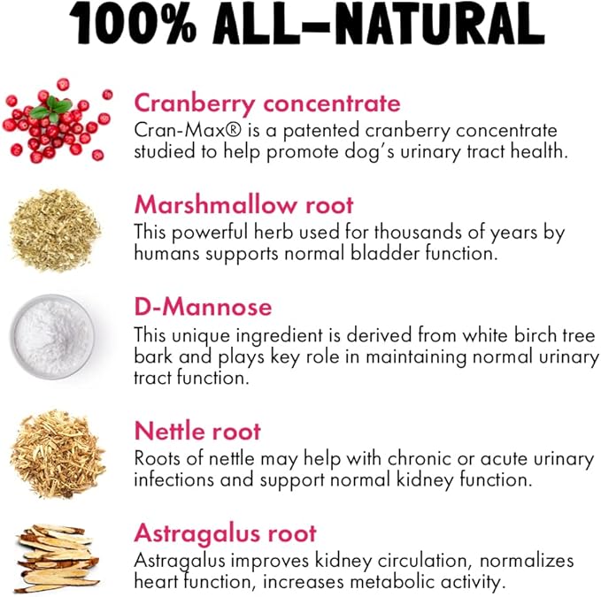 Cranberry UTI Chews for Dogs Bladder Support + D-Mannose Supports Kidney Urinary Tract and Bladder Health Natural Cranberry Wellness Supplement Immune System Booster Natural Pet Antioxidant 120 Chews
