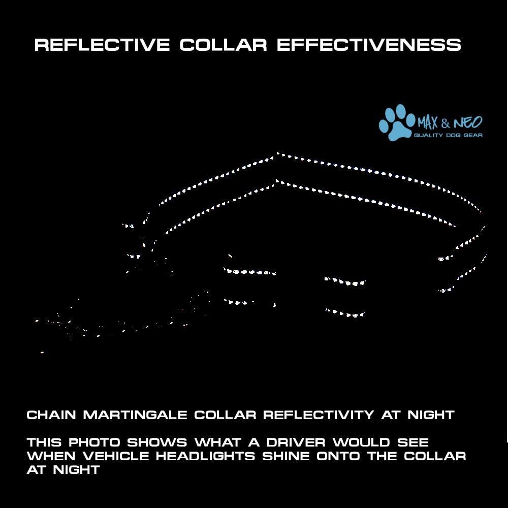 Max and Neo Stainless Steel Chain Martingale Collar - We Donate to a Dog Rescue for Every Collar Sold (X-Small, Purple)