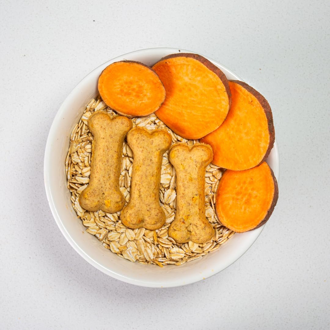 Activa 2lb Sweet Potato Gourmet Dog Biscuits | Crunchy Dog Treats | (Medium, Sweet Potato)