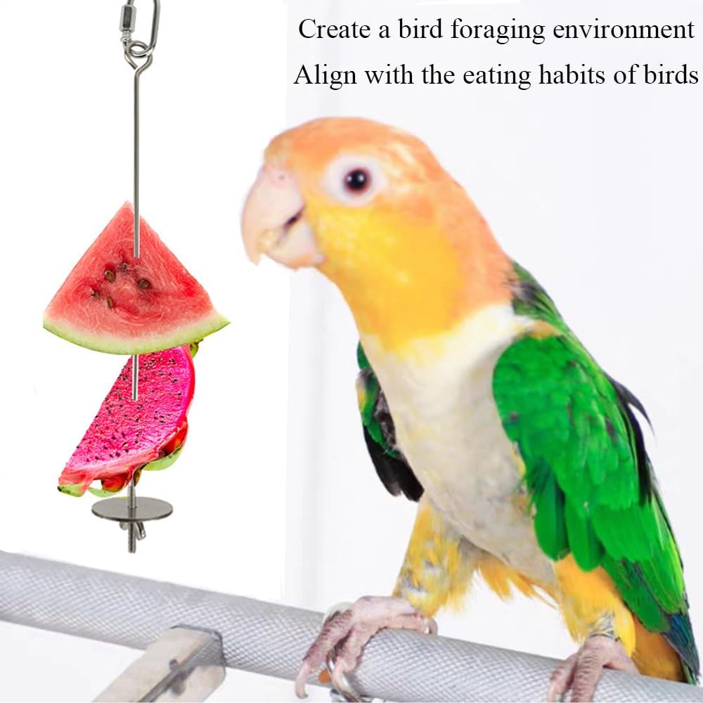 2pcs Hanging Bird Treat Skewer Parrot Fruit Feeder with Washer, 11 Inch Stainless Steel Bird Food Holder Parrot Fruit Food Skewer Parakeet Treat Feeder for Parakeet Conure, LXLVOUEG