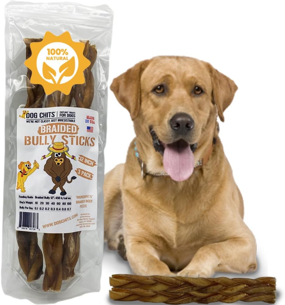 Dog Chits Braided Bully Sticks for Dogs and Puppies | 12-inch, 3 Pack | Natural Healthy Long Lasting Chew for Large and Small Dogs Protein Treats | Odor Free