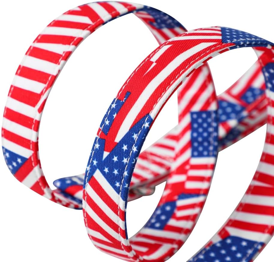 American Flag Dog Leash - Premium Nylon, Durable & Comfortable, 360° Rotating Metal Clip, Anti-Tangle Design, Ideal for Small to Medium Dogs (Leash L)